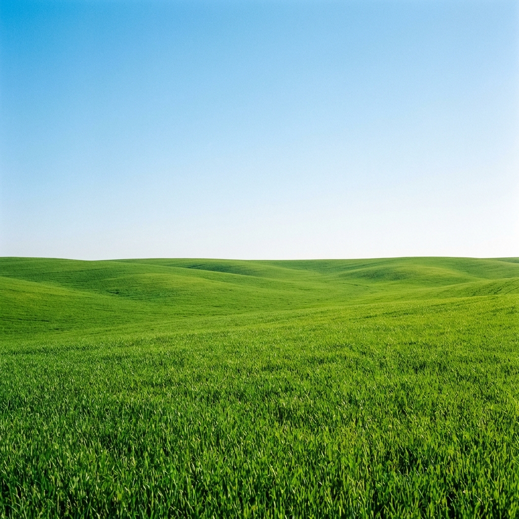 SMSF Centre Knowledge Garden Background